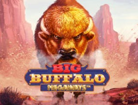 game logo by Skywind Group on wolfscasino.uk