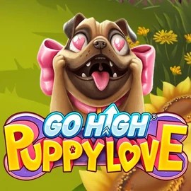 game logo by RubyPlay on wolfscasino.uk